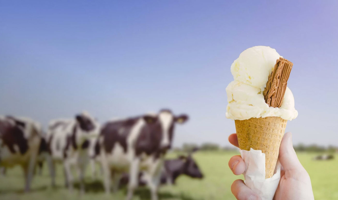 From Farm to Fork: Ice Cream 